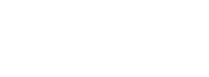 Profissionais especializados